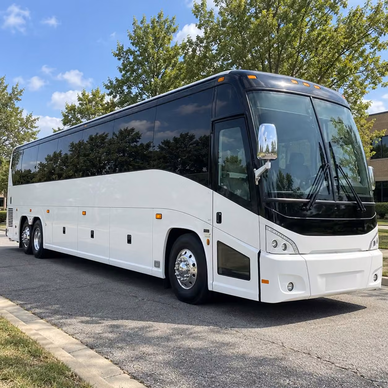 after prom transportation in alexandria is easy to book through coachbusalexandria com