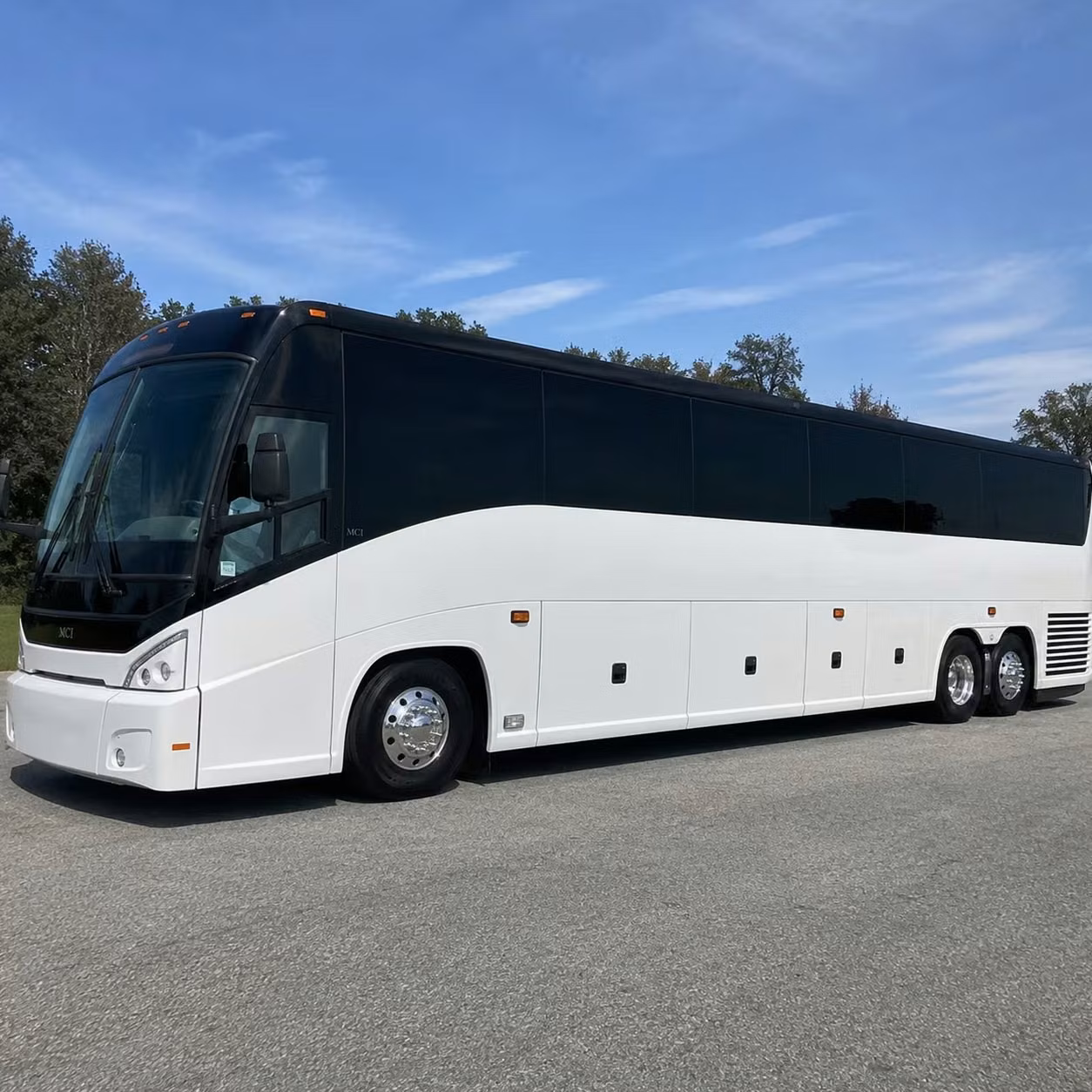 alexandria airport transfer shuttle bus services