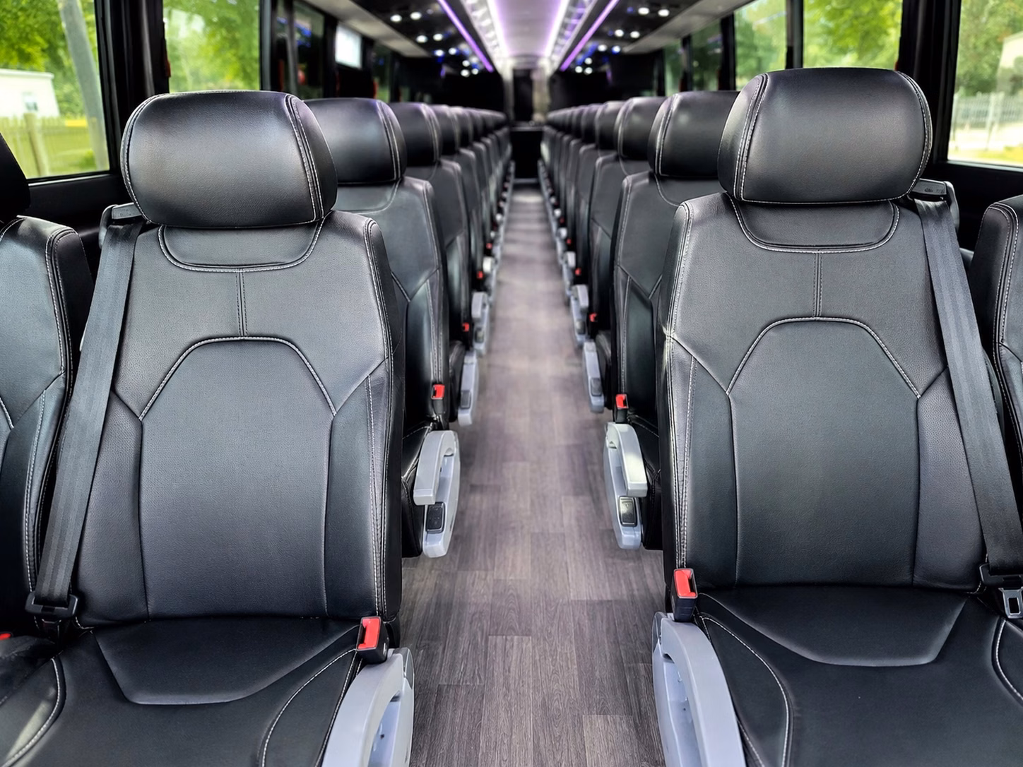 alexandria charter bus interior