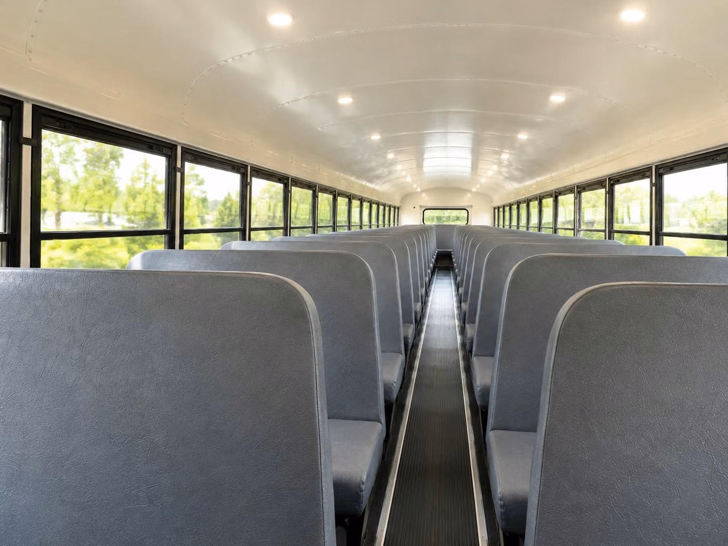 alexandria school bus rental