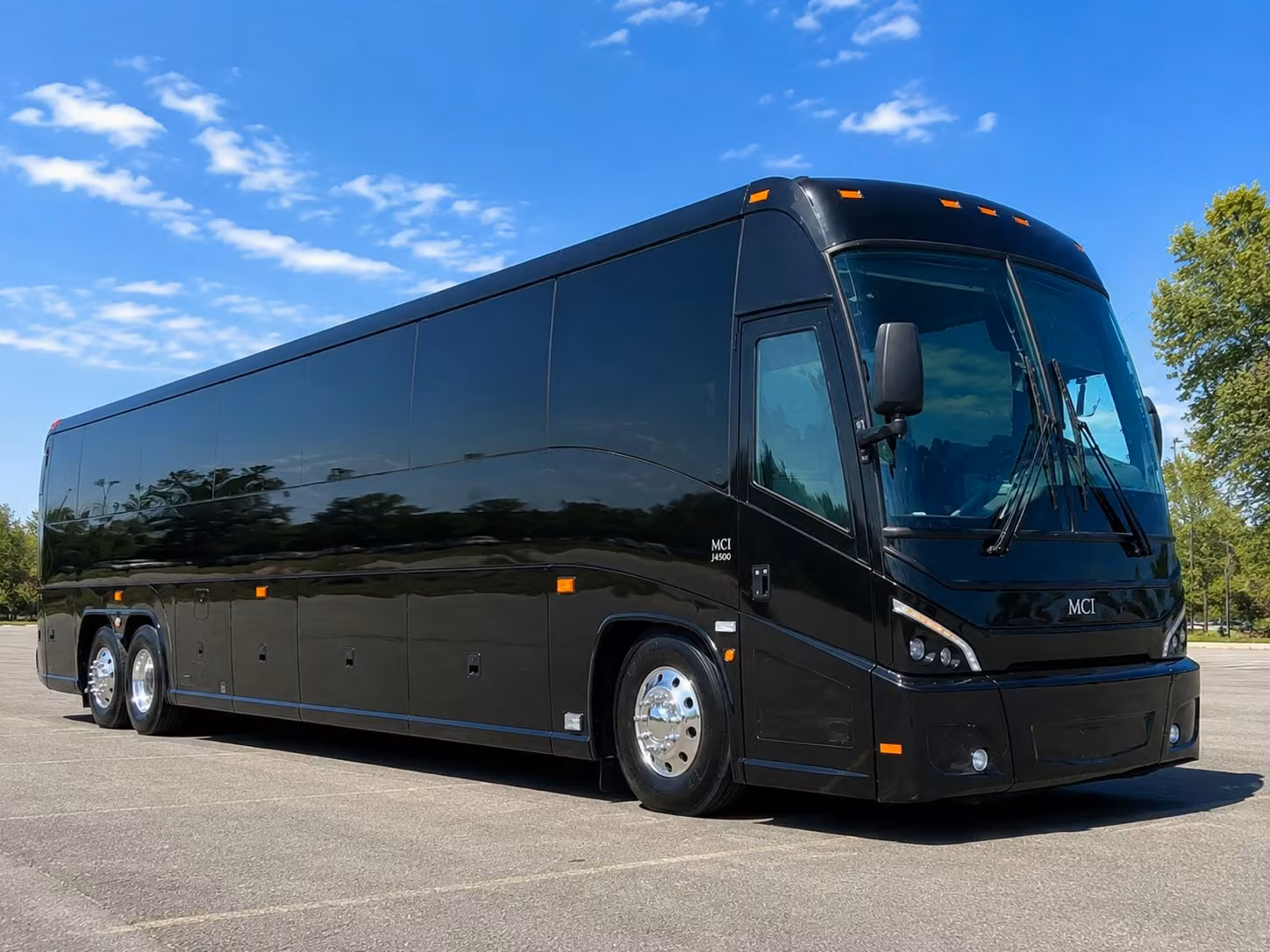 charter bus transportation for alexandria city public schools and private schools
