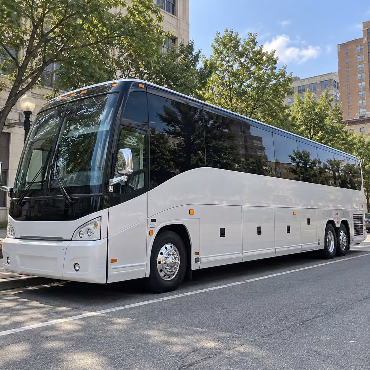 sports team transportation for alexandria youth travel teams
