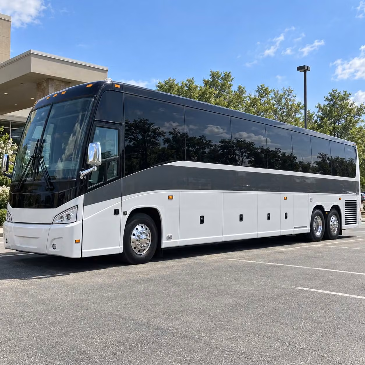 you can find and book prom transportation in alexandria and any nearby city